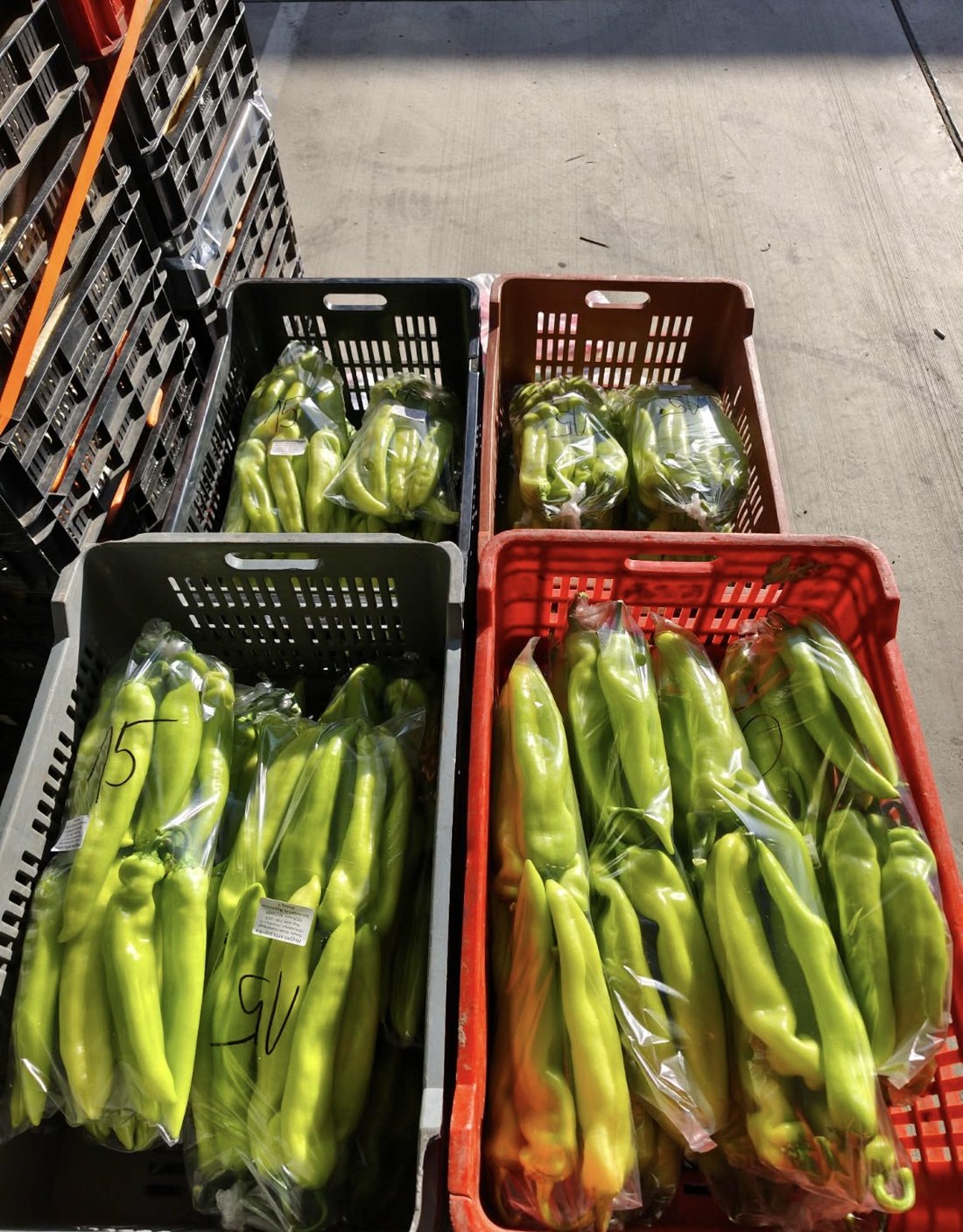 Paprika rekeszekben